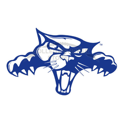 Design High Point Panthers Iron-on Transfers (Wall Stickers)NO.4547
